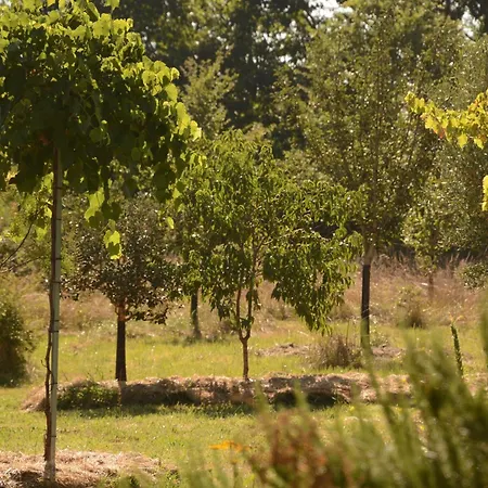 Studio Romantique, Piscine Et Jardin, Le Galet Du Chant Du Buc *